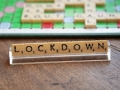 Which Businesses Gain, Which Businesses Lose in Unprecedented COVID-19 Crisis?