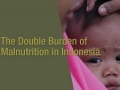 Malnutrition in Indonesia: 8.4 Million Children Stunted!