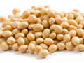 Agricultural Commodities: Indonesia Highly Dependent on Soybean Imports
