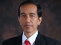 Constitutional Court Confirms Widodo's Victory in Indonesia's 2019 Election
