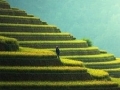 Indonesia, Pollution and the Environment; Is Net Zero Emissions by 2060 a Realistic Ambition?