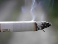 Is the Cigarette Manufacturing Industry Indonesia’s Biggest Sunset Industry?